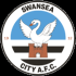 Swansea City