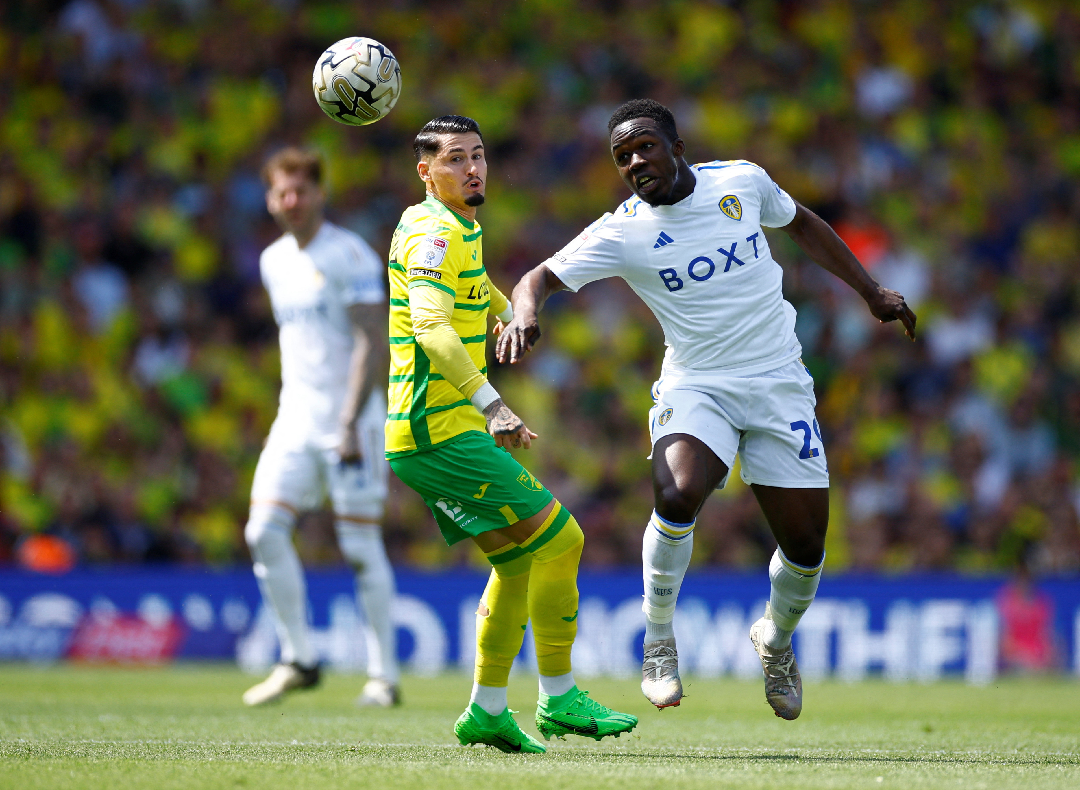 Soi kèo Leeds vs Norwich ngày 17/5