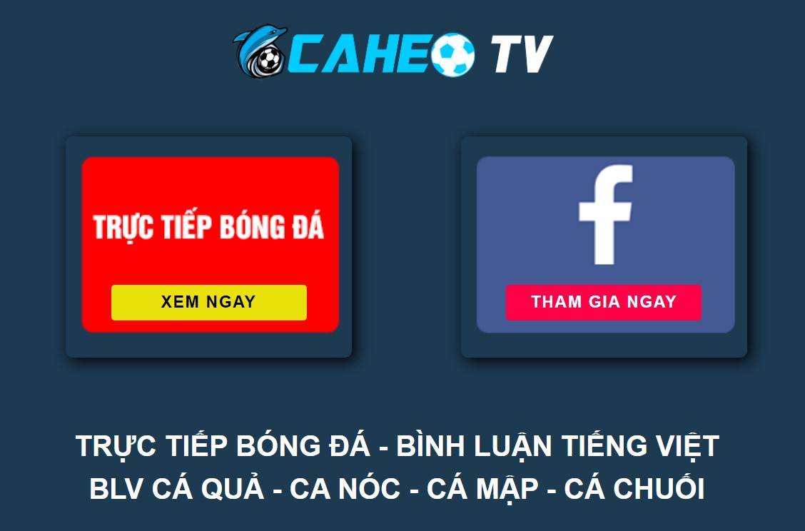 Giới thiệu kênh xem bóng đá Cá Heo TV